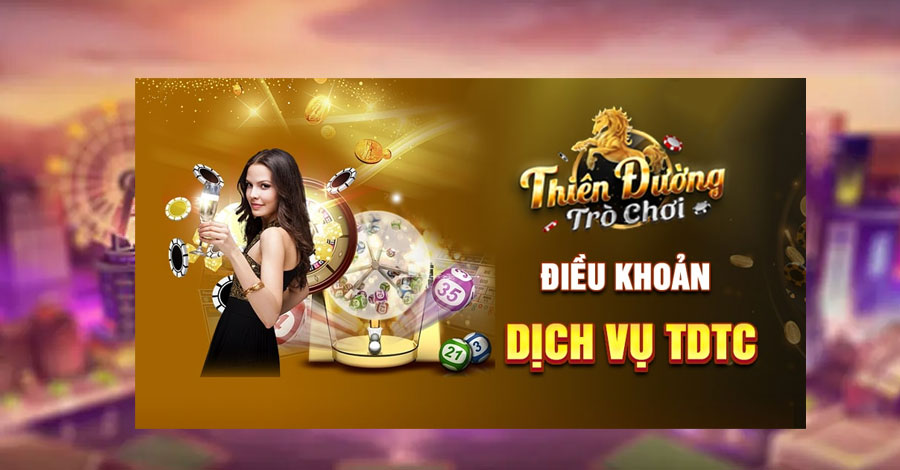 Điều Khoản & Điều Kiện 3 điều khoản dịch vụ